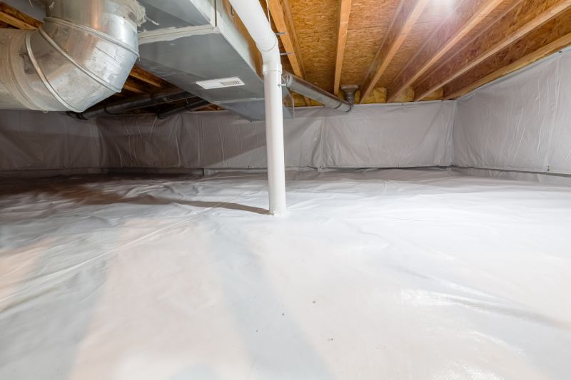 Basement Insulation Removal