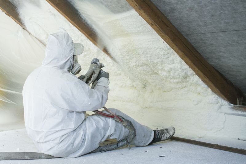 Attic Insulation Removal Process